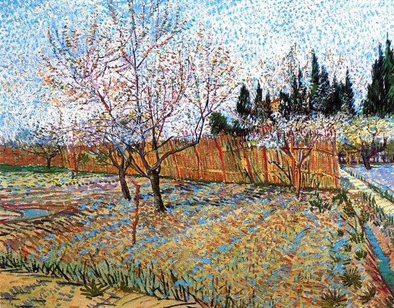 Фруктовый сад с цветущими персиками   Винсент Ван Гог