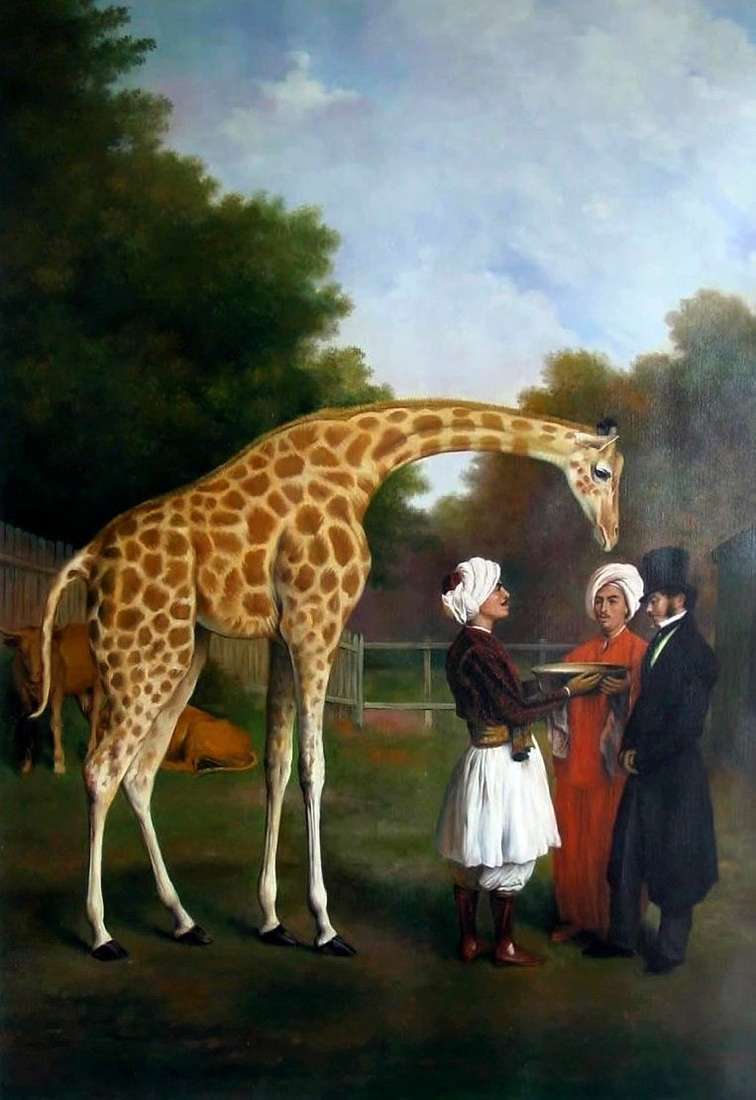 Нубийский жираф   Жак Лоран Агассе